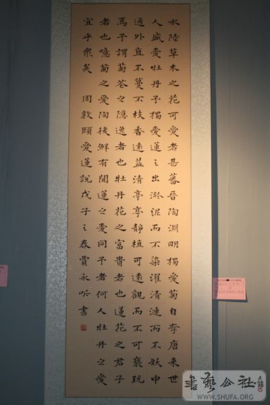 IMG_9746.jpg