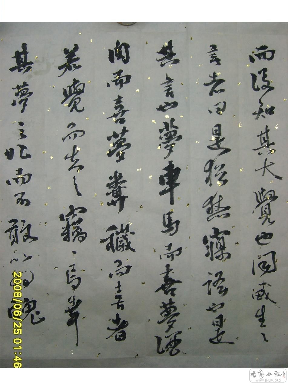 S6001938.JPG