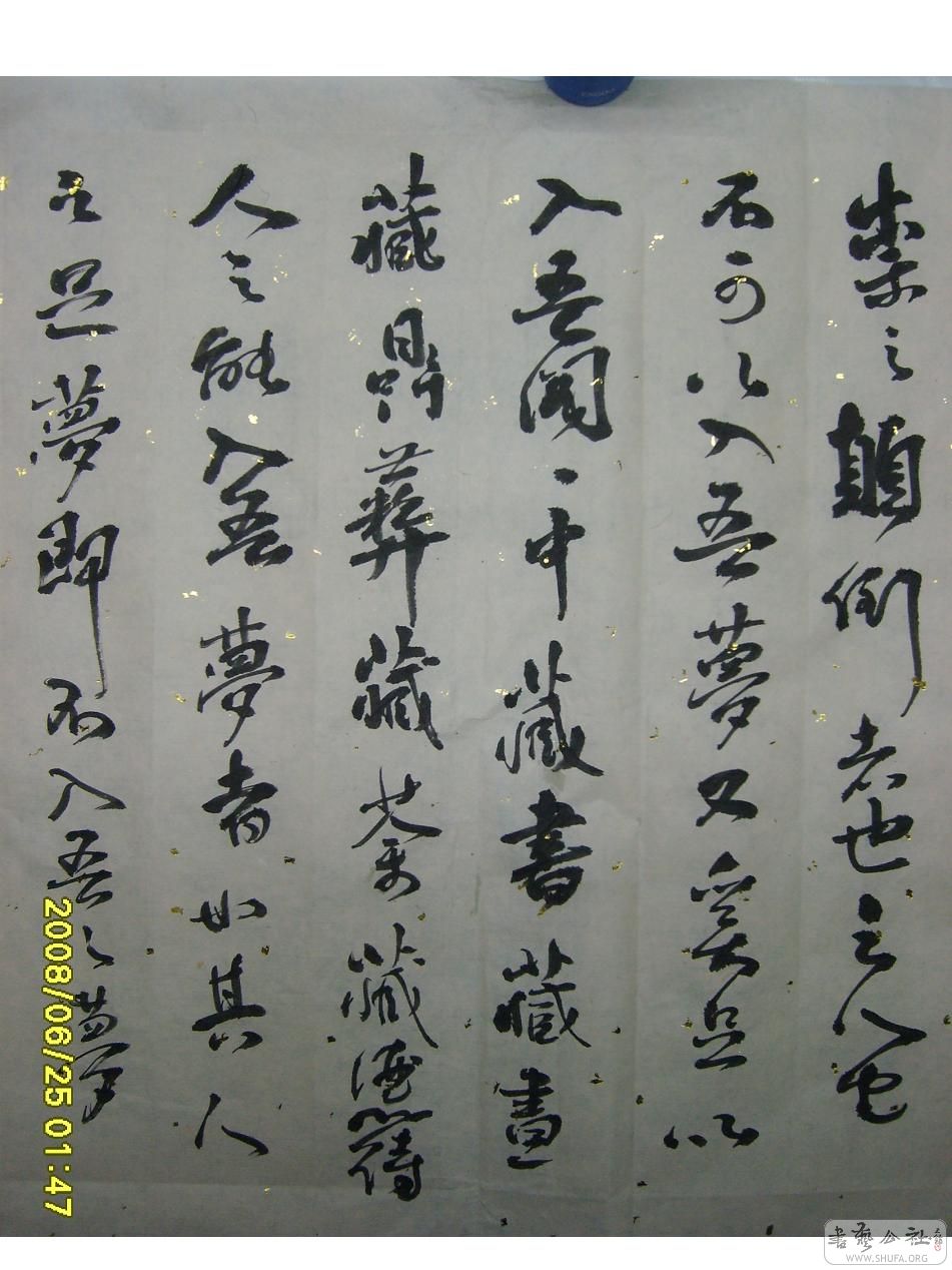S6001939.JPG