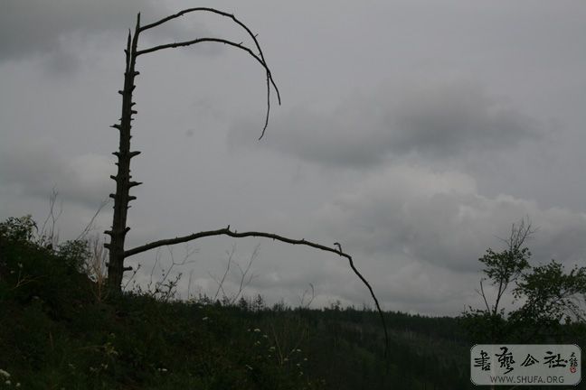 IMG_0016.jpg