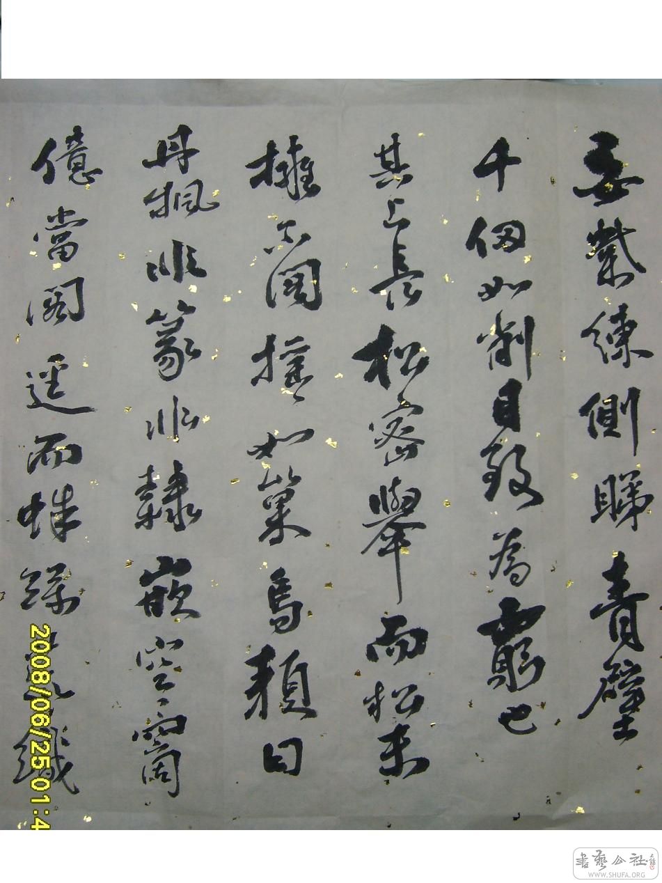 S6001935.JPG