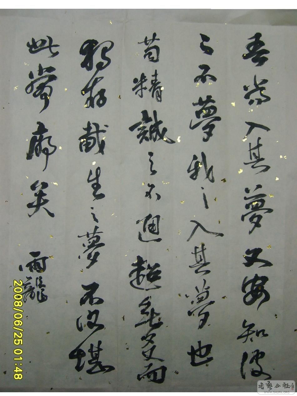 S6001941.JPG