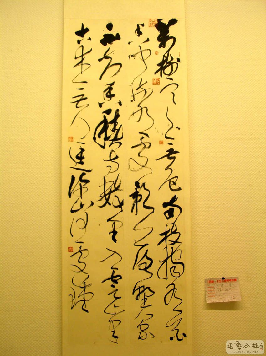 IMG_5390.JPG
