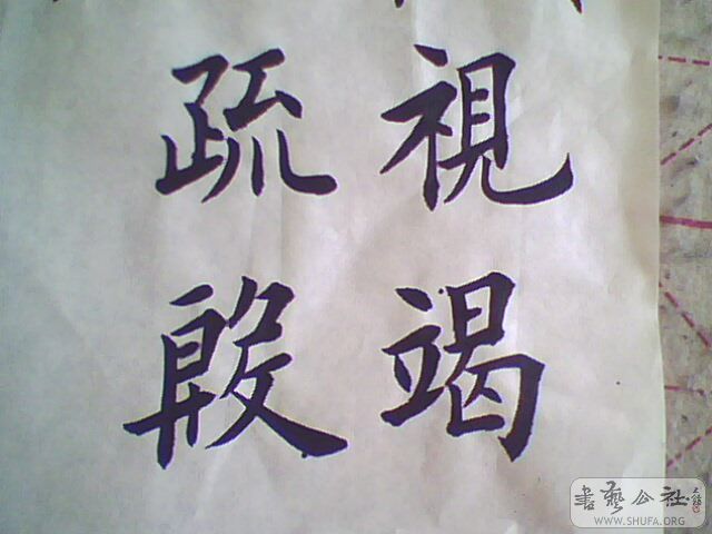 IMG0208A.jpg