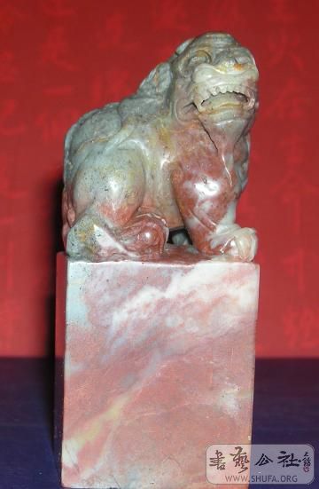 DSCN0295.jpg