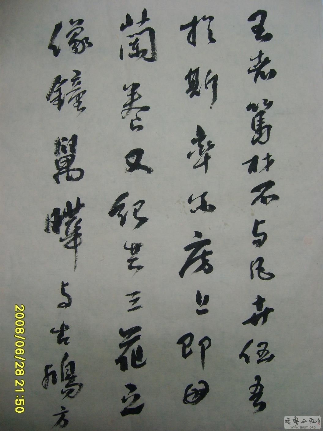 S6001959.JPG