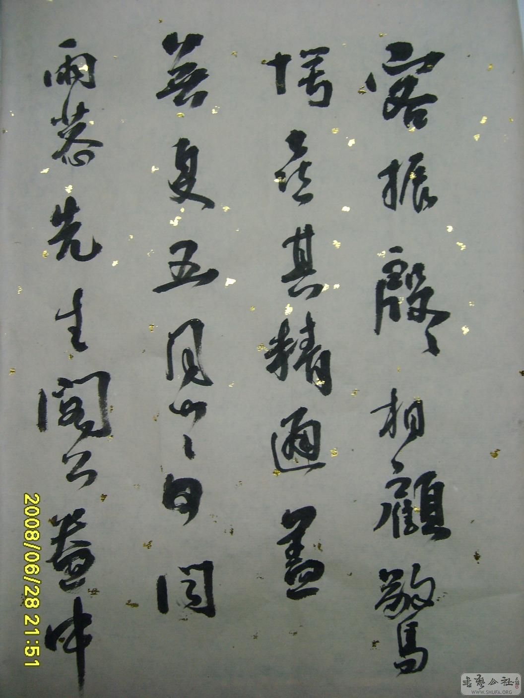 S6001961.JPG