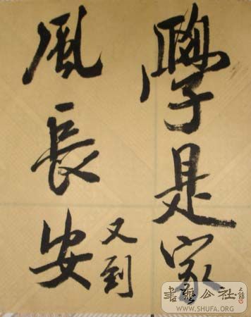 DSC03652.JPG