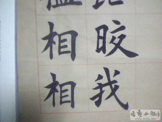 IMG0218A.jpg