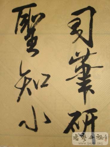 DSC03651.JPG