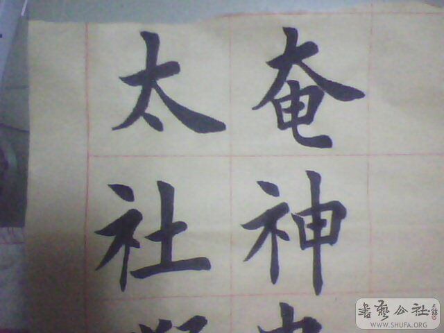 IMG0215A.jpg