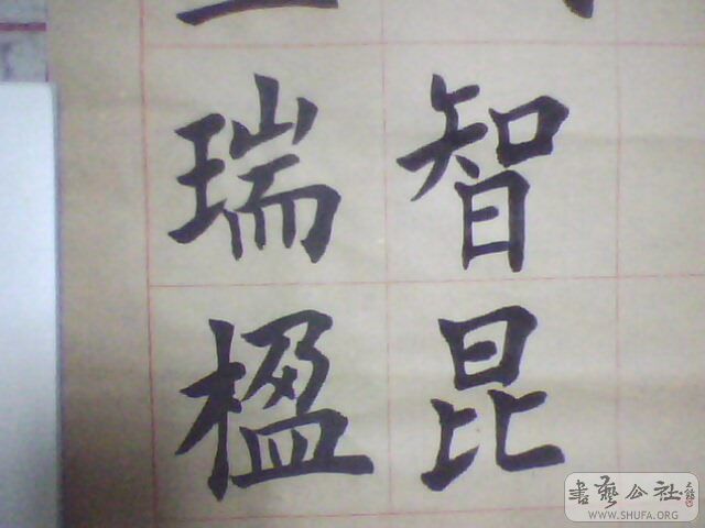 IMG0217A.jpg