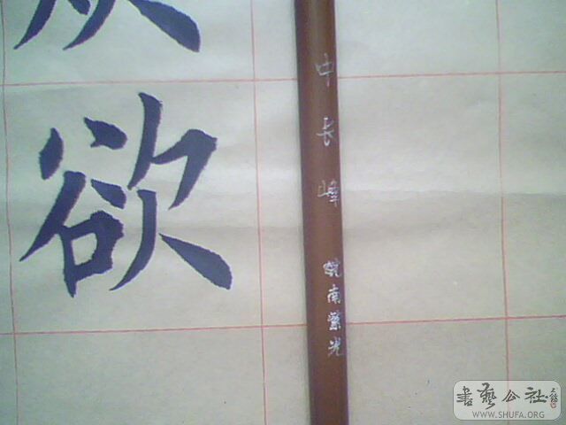 IMG0221A.jpg
