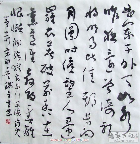 DSCF0557.JPG