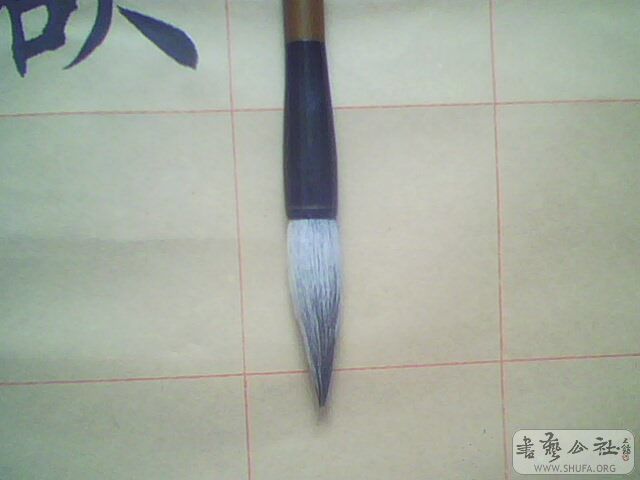 IMG0222A.jpg