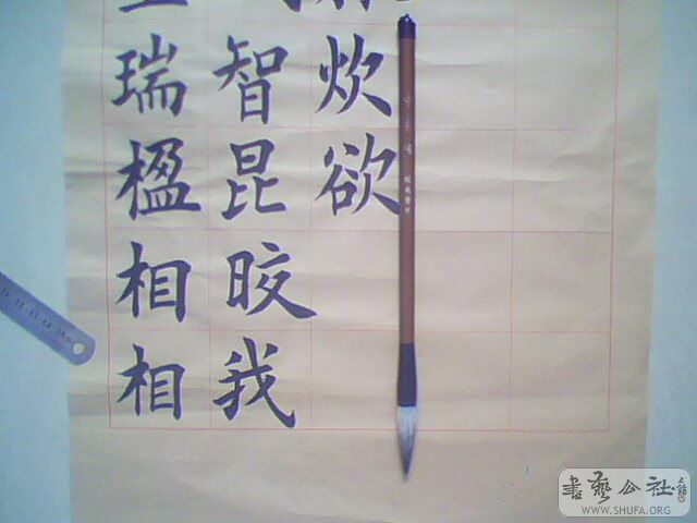 IMG0220A.jpg