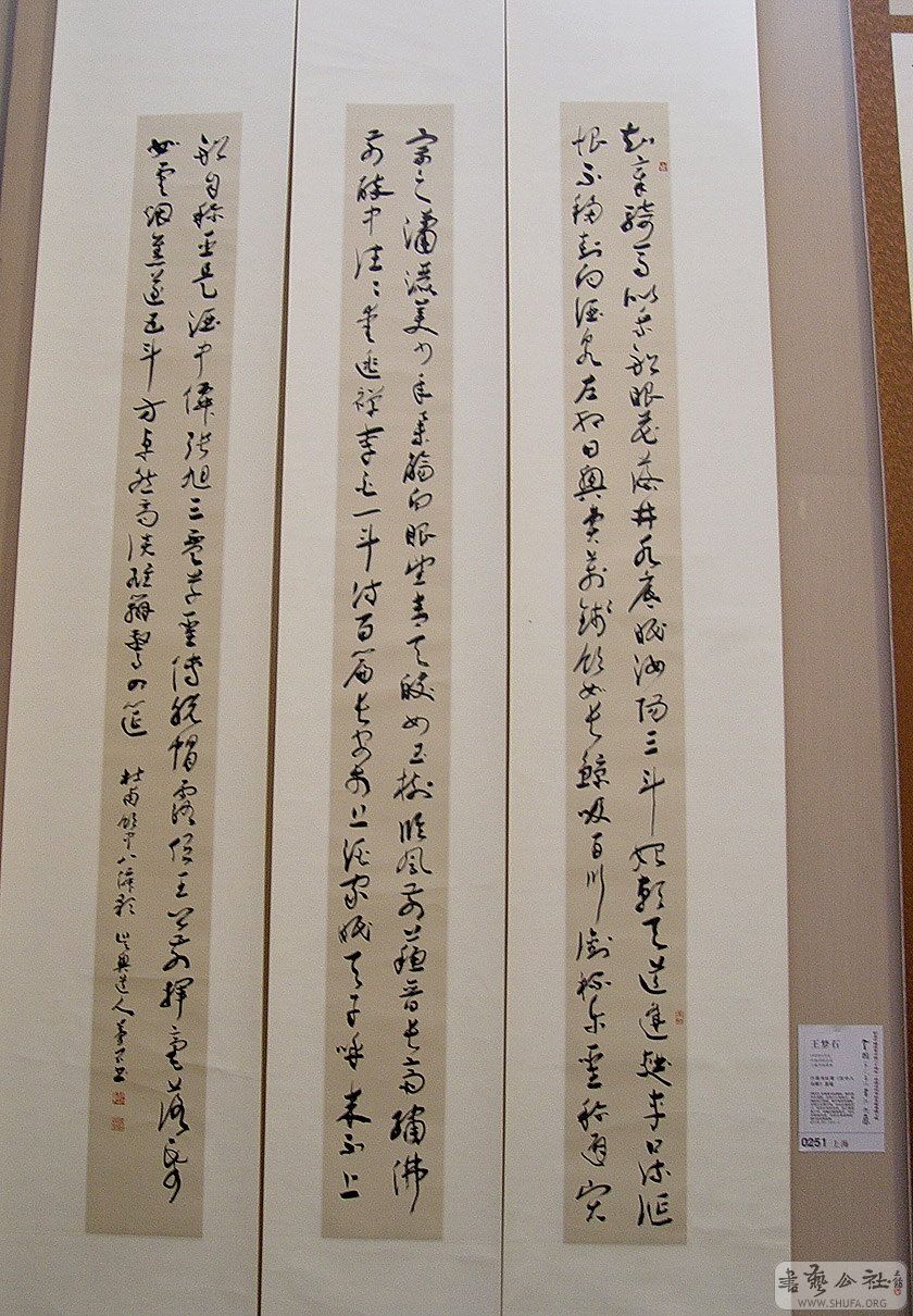 0zp145.jpg