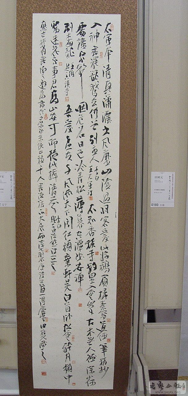 0zp168.jpg