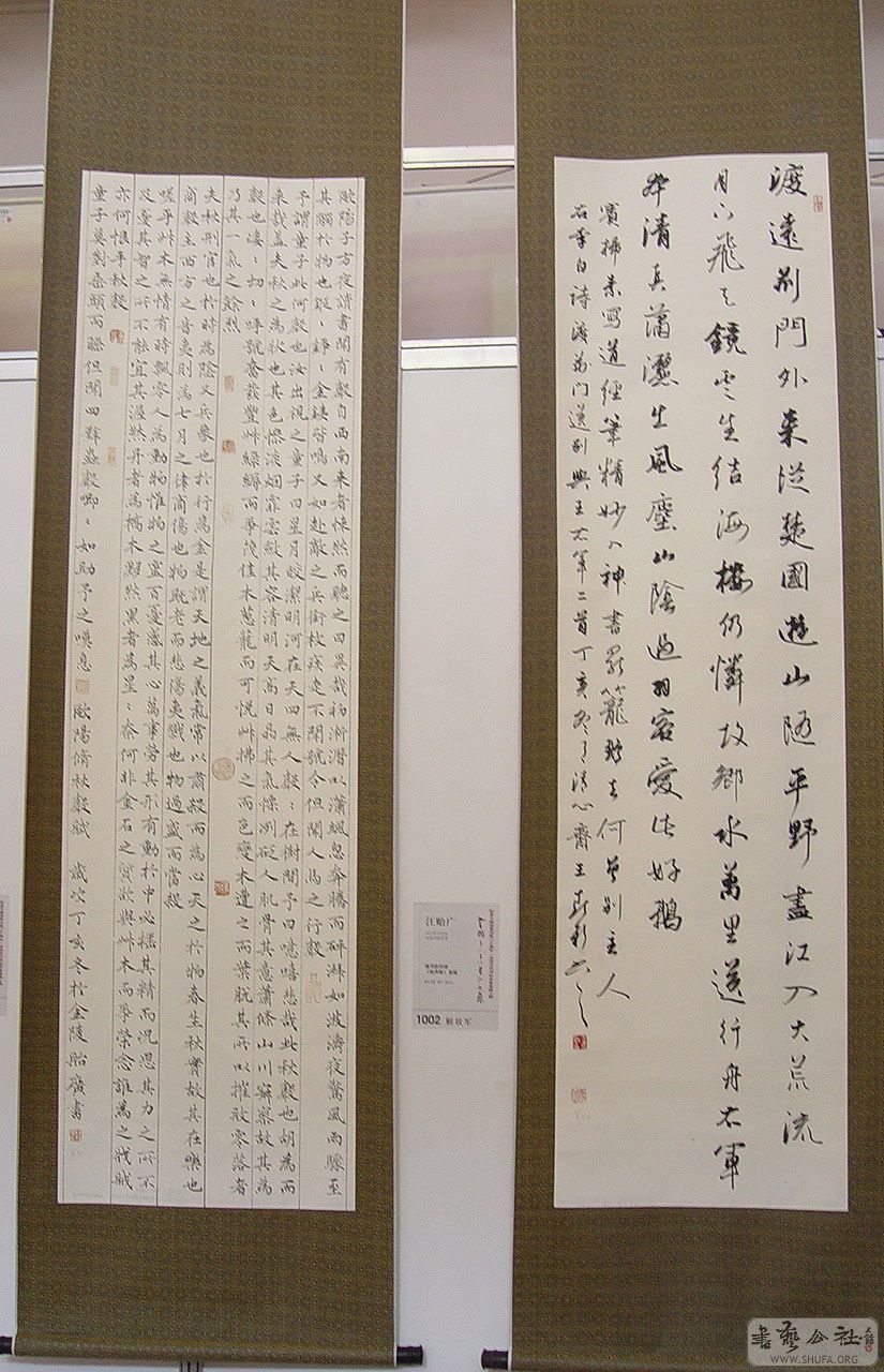 0zp353.jpg