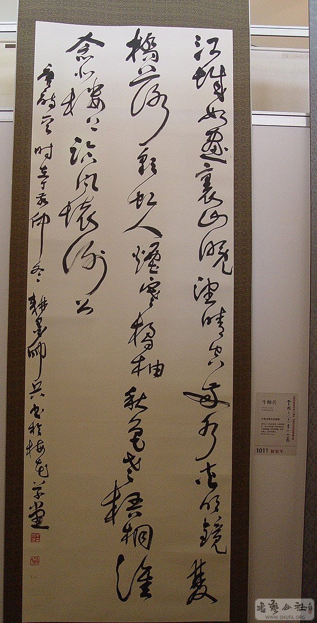 0zp289.jpg