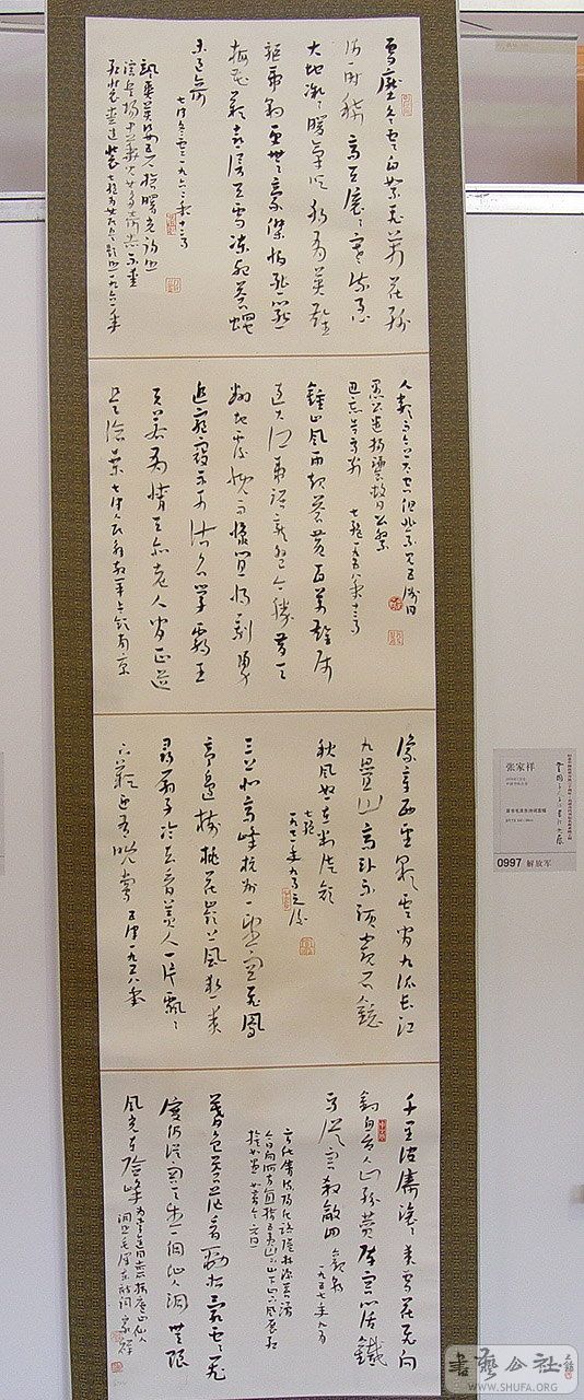 0zp356.jpg
