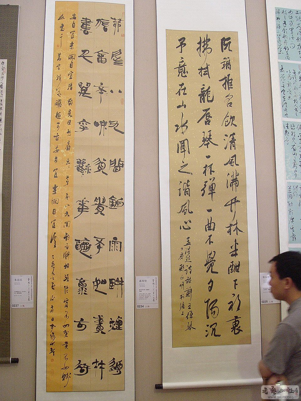 0zp161.jpg
