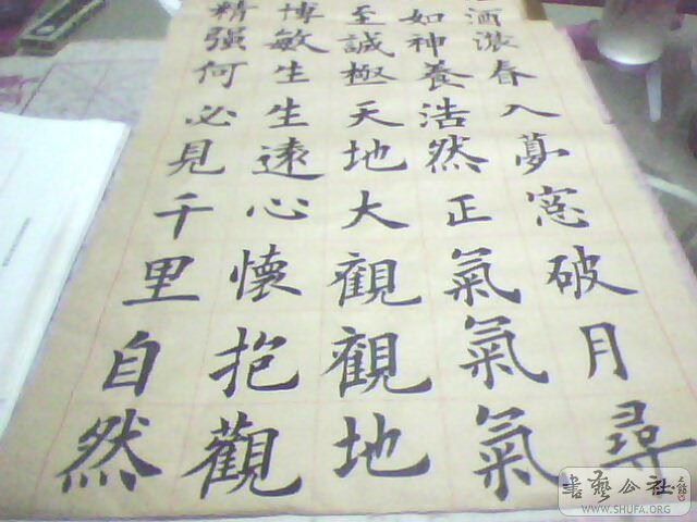 IMG0257A.jpg