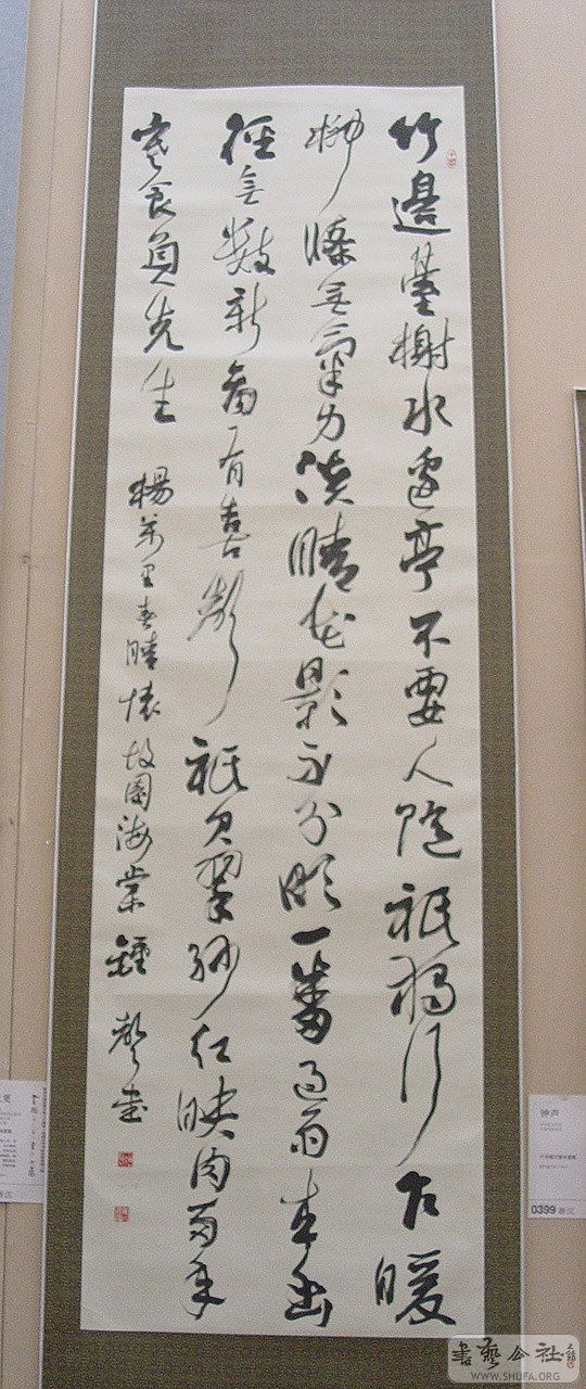 0zp323.jpg