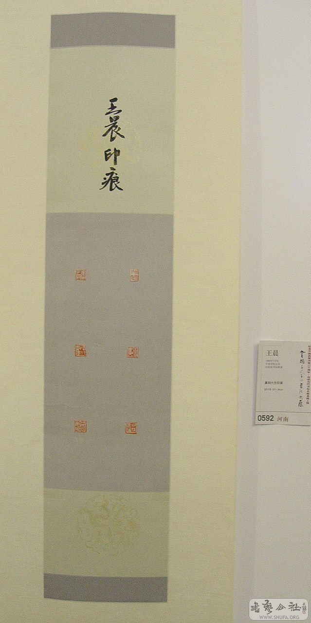 0zp256.jpg