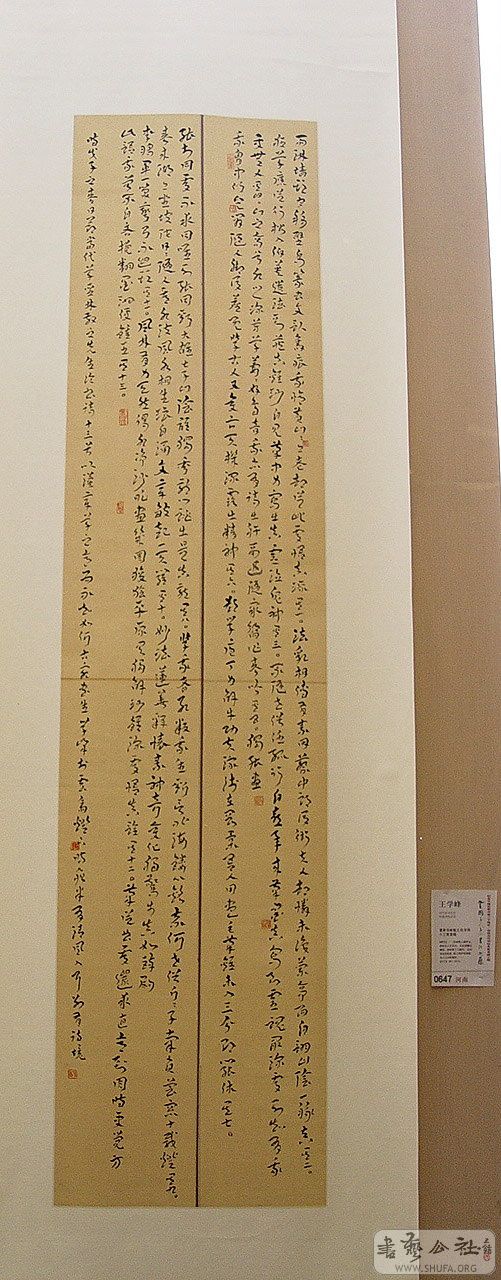 0zp370.jpg