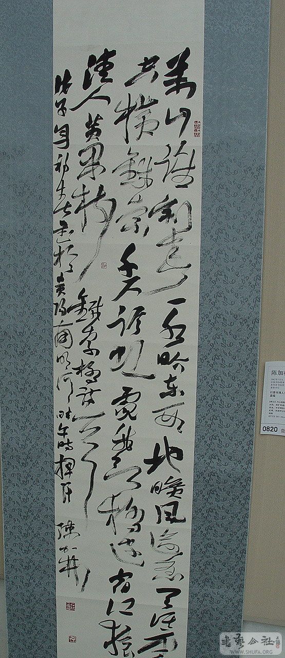 0zp651.jpg