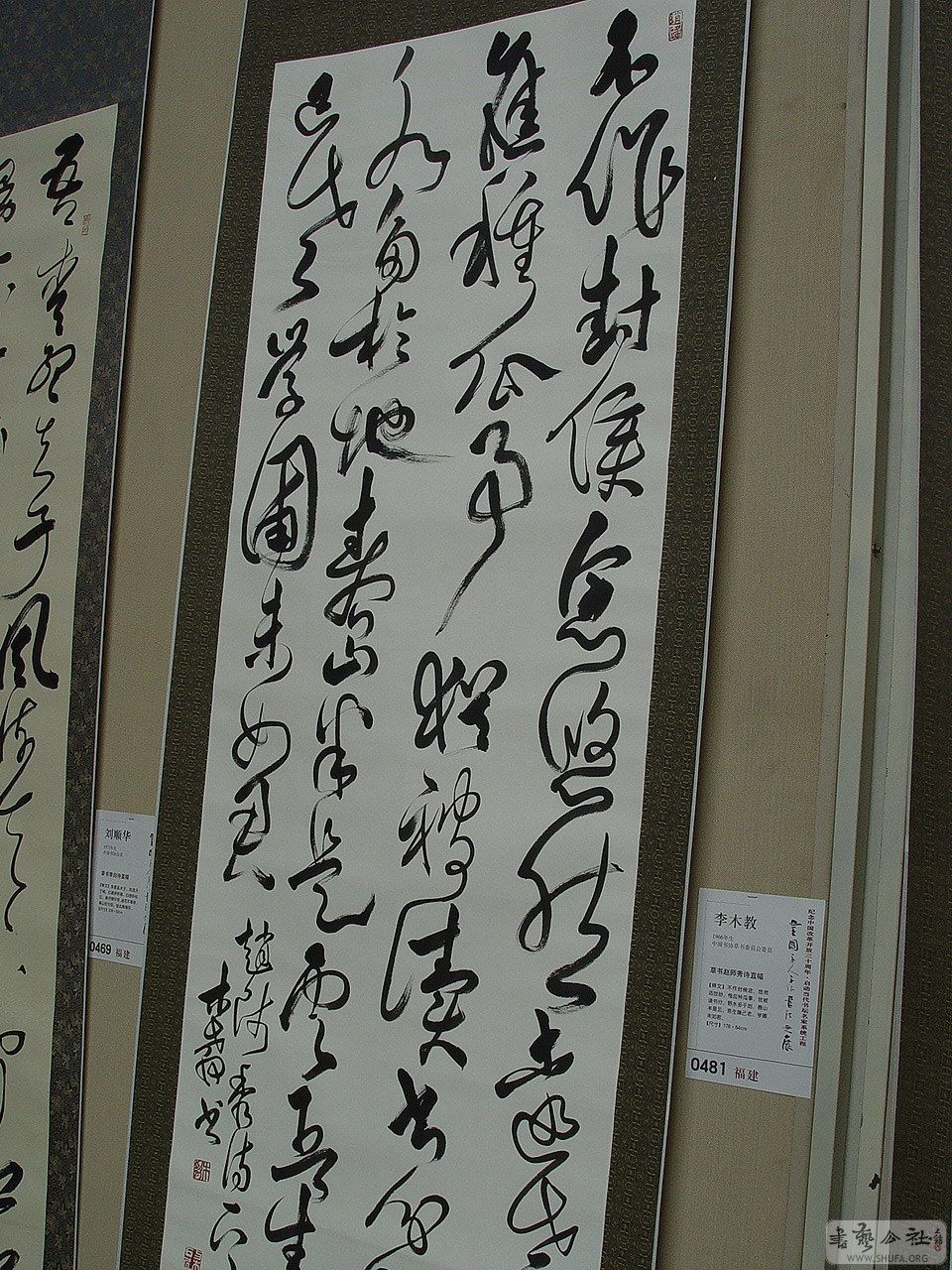 0zp654.jpg