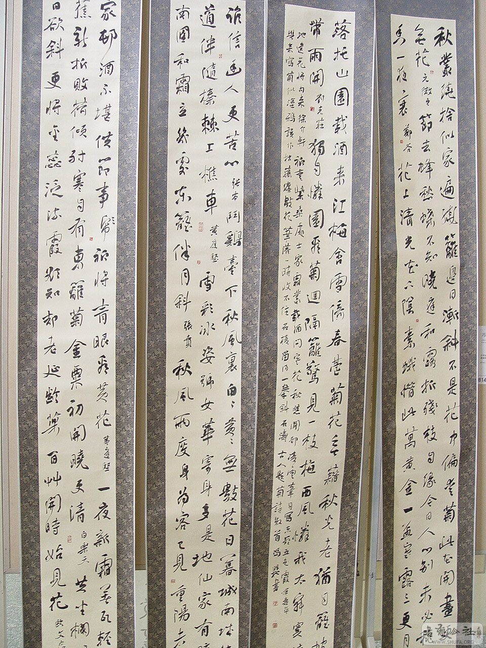 0zp646.jpg