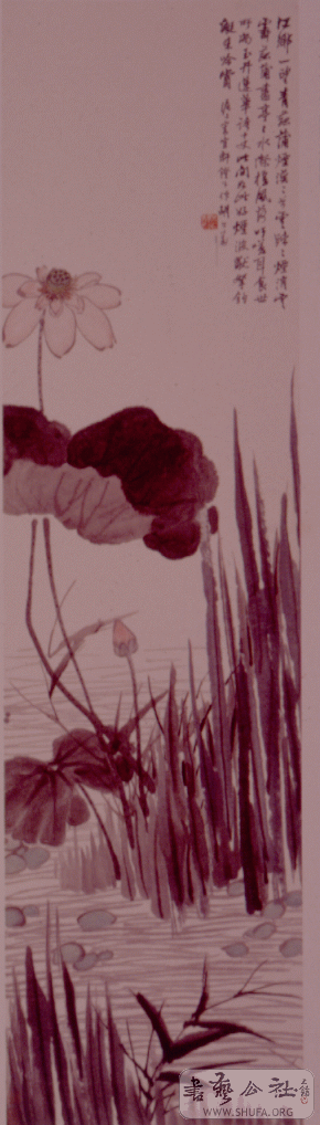47.gif