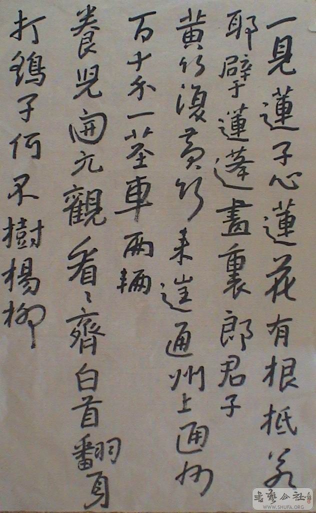 DSC06951.JPG