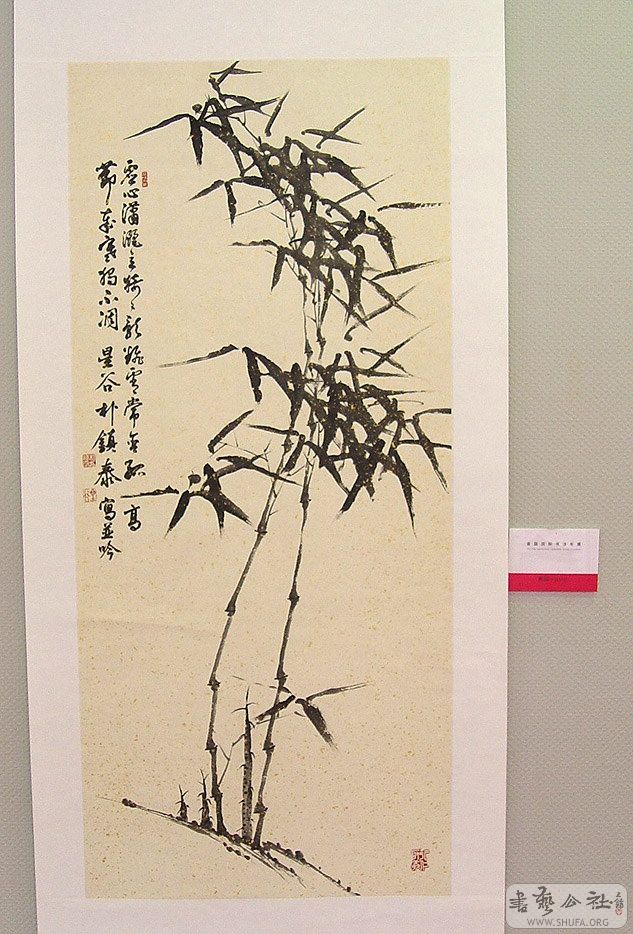 DSC09470.jpg