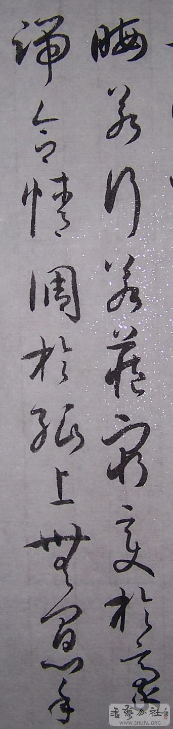 000_0305.jpg