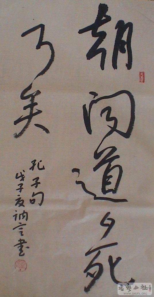 DSC06955.JPG