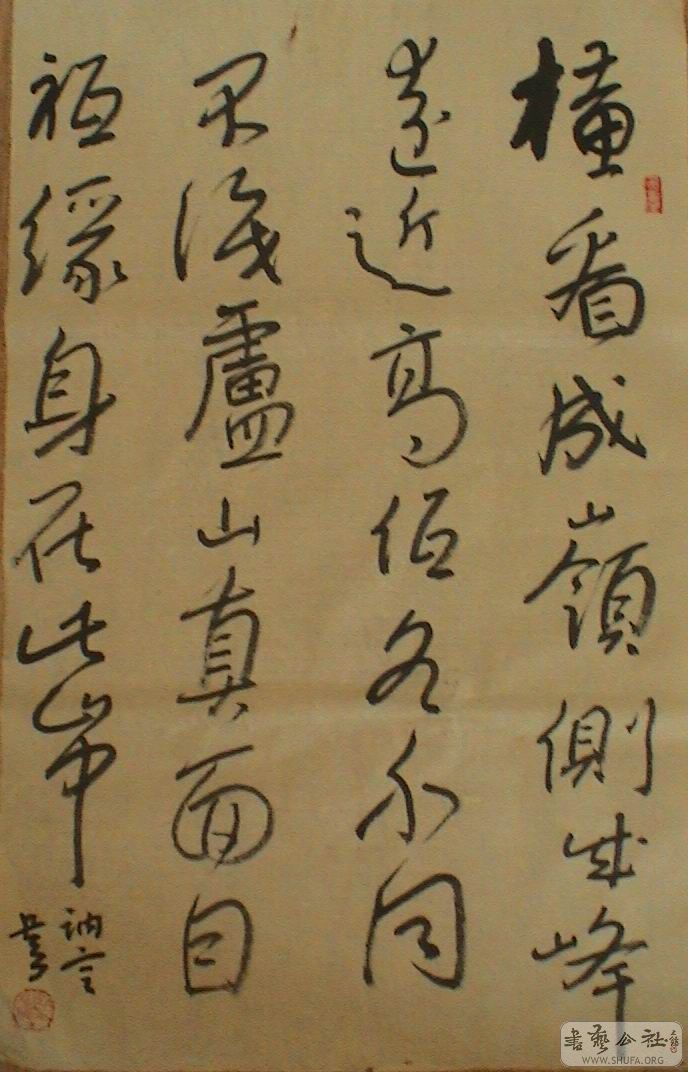DSC06959.JPG