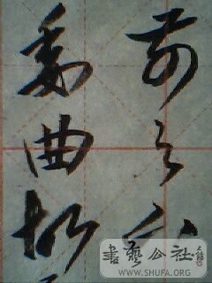 IMG0183A.jpg