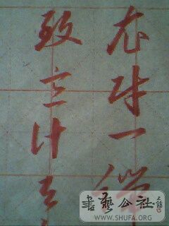 IMG0193A.jpg