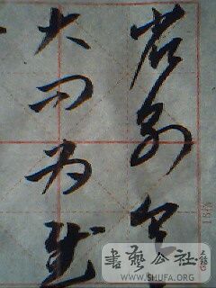 IMG0194A.jpg