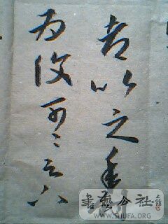 IMG0148A.jpg