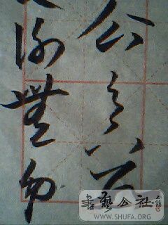 IMG0206A.jpg