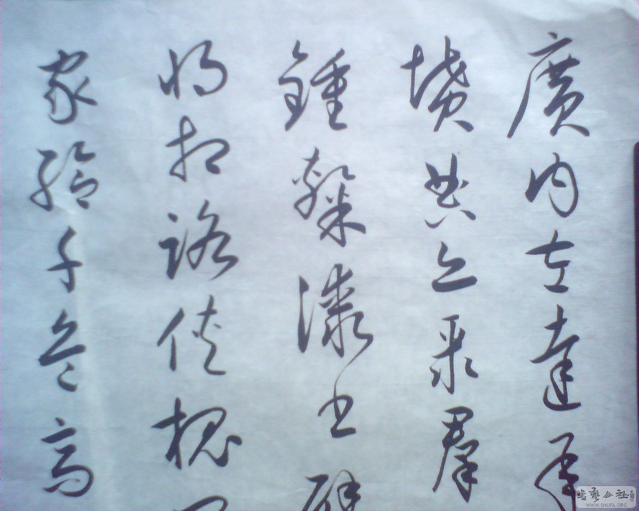 M20080706009.jpg