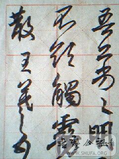 IMG0235A.jpg
