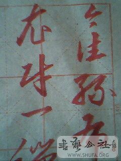 IMG0187A.jpg