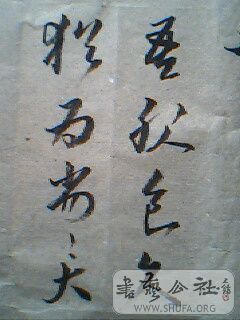 IMG0147A.jpg