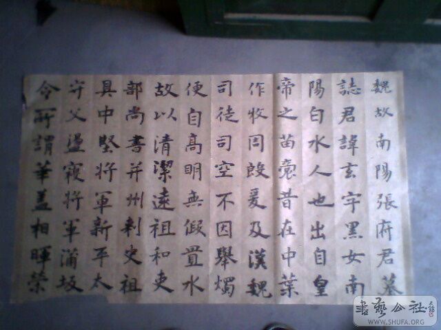 IMG0142A.jpg