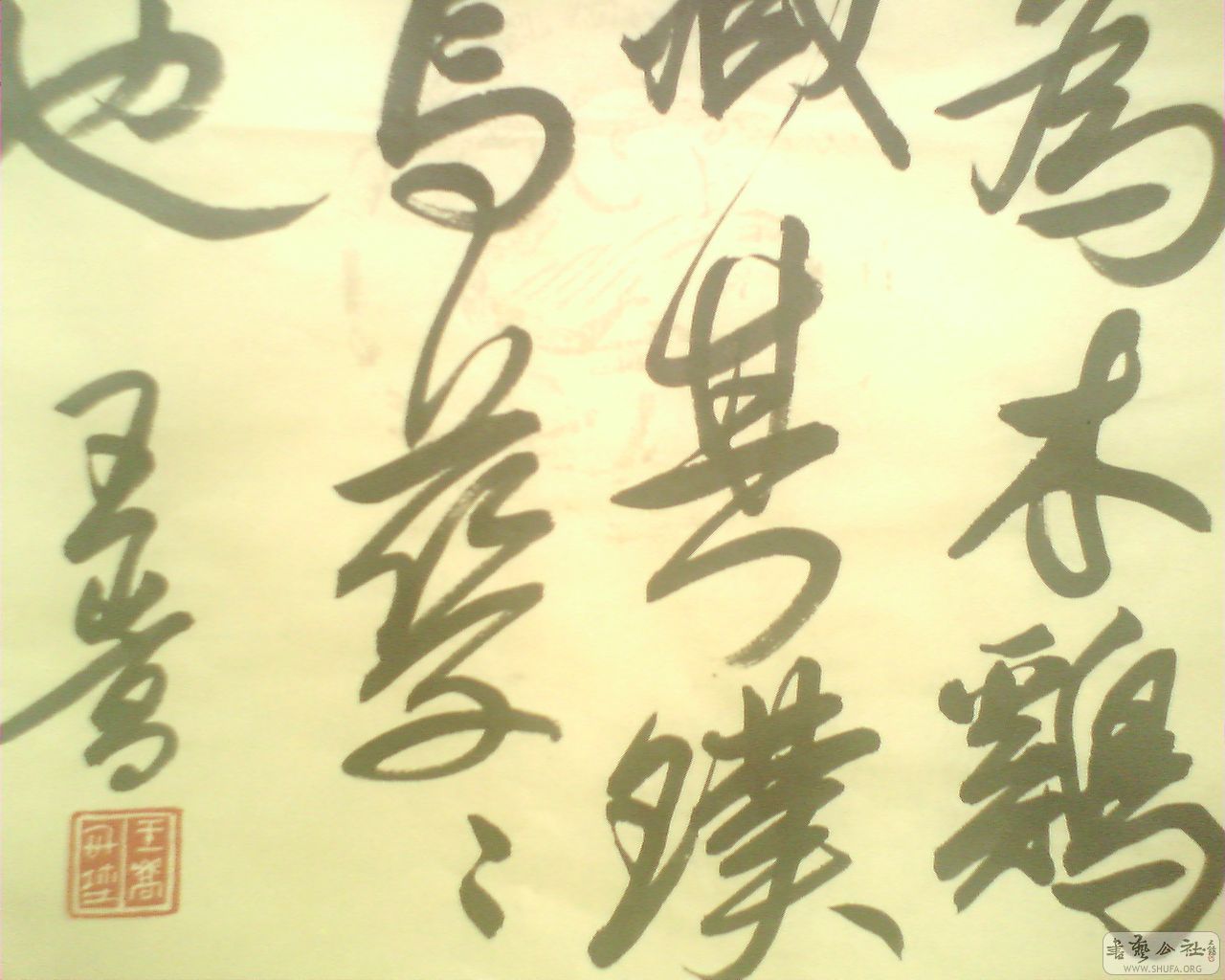 M20080708026.jpg